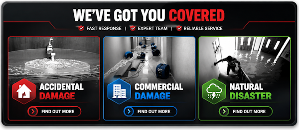 Accidental Damage home page top s